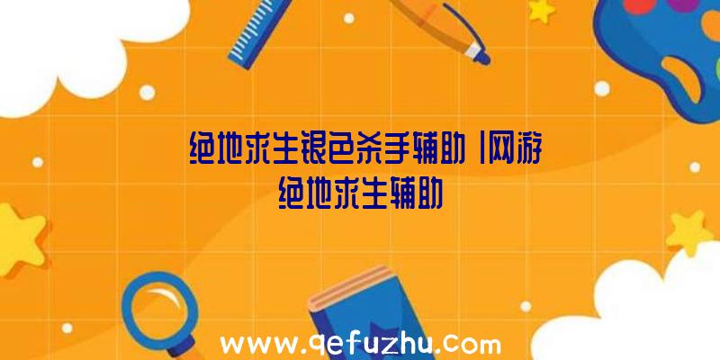 「绝地求生银色杀手辅助」|网游绝地求生辅助